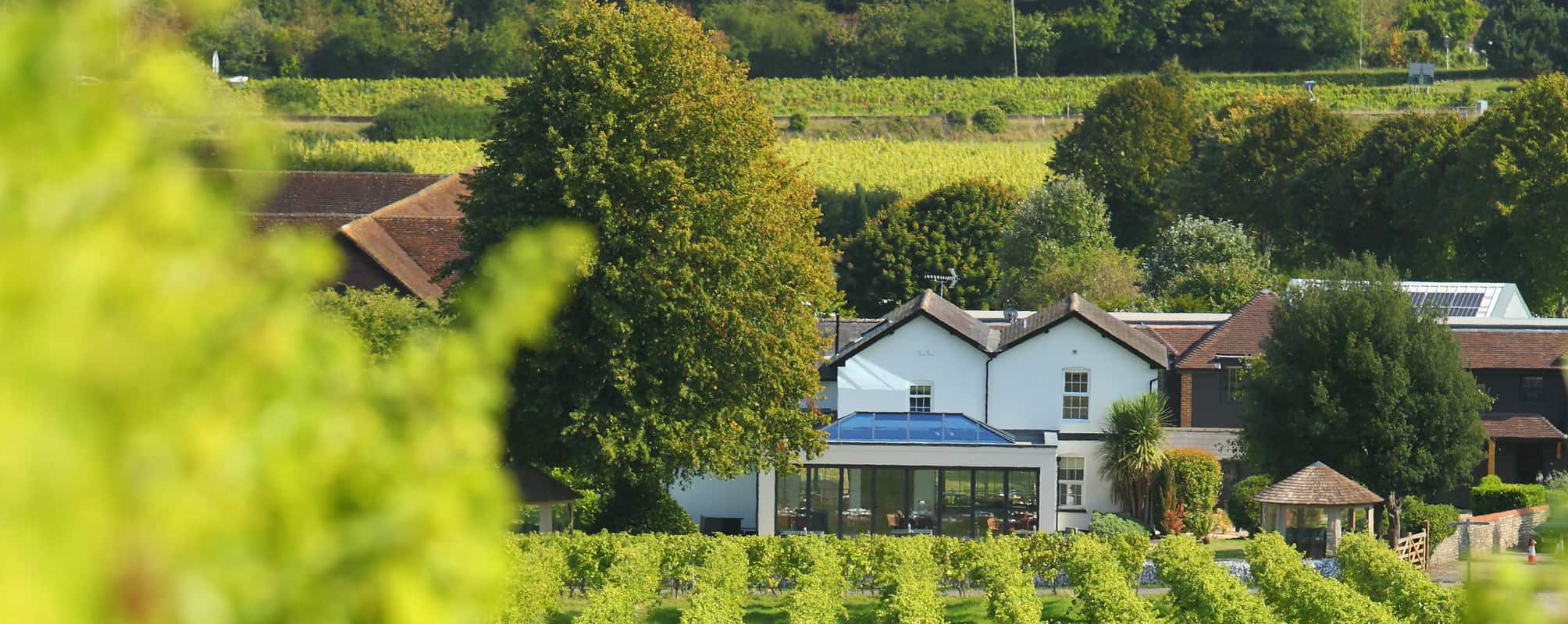 Denbies Vineyard Hotel Surrey | Denbies Wine Estate